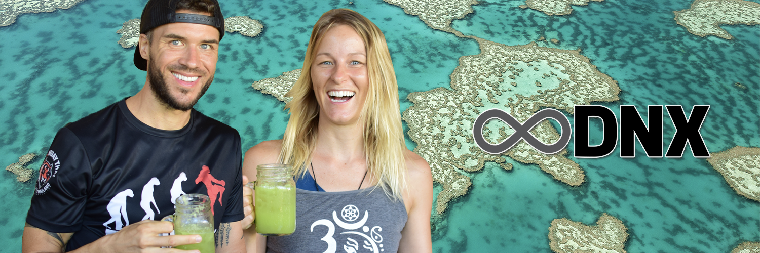 DNX banner