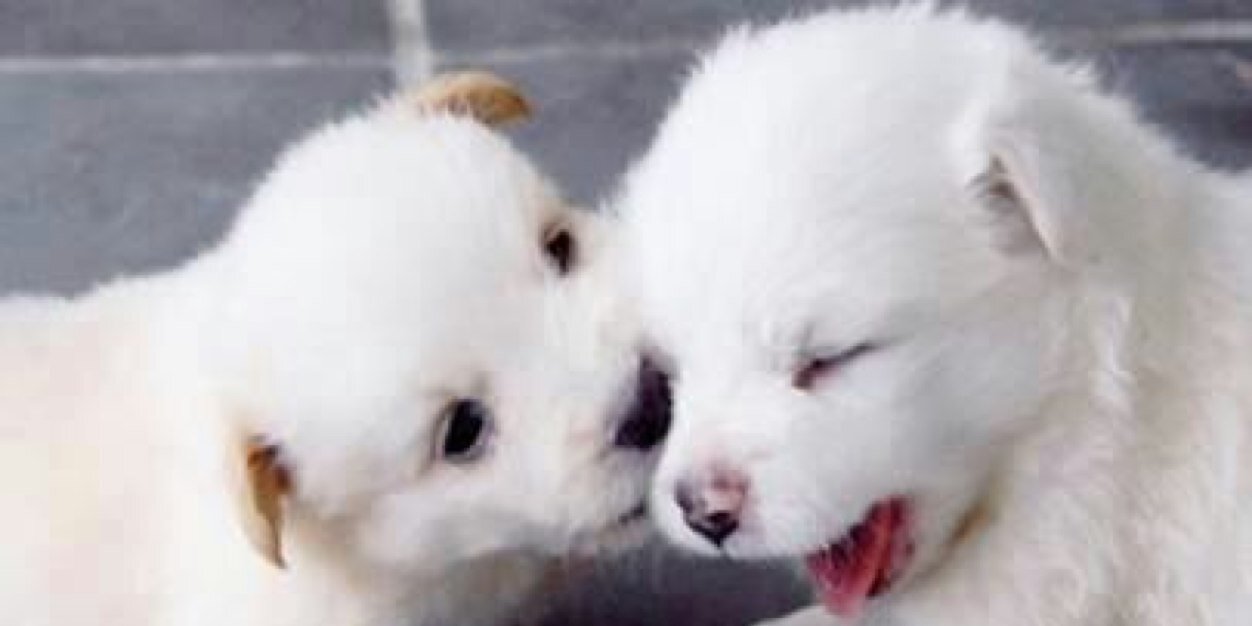 ilay_1's profile banner image