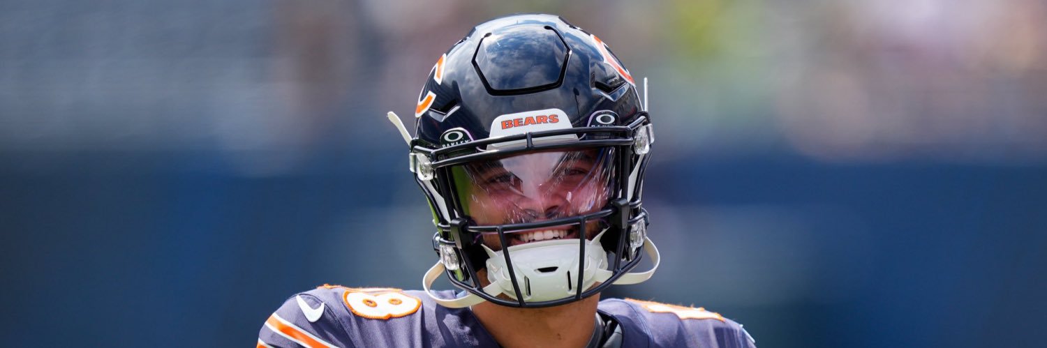 Chicago Bears Nation banner