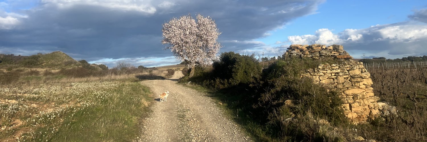 Javier Alonso García banner
