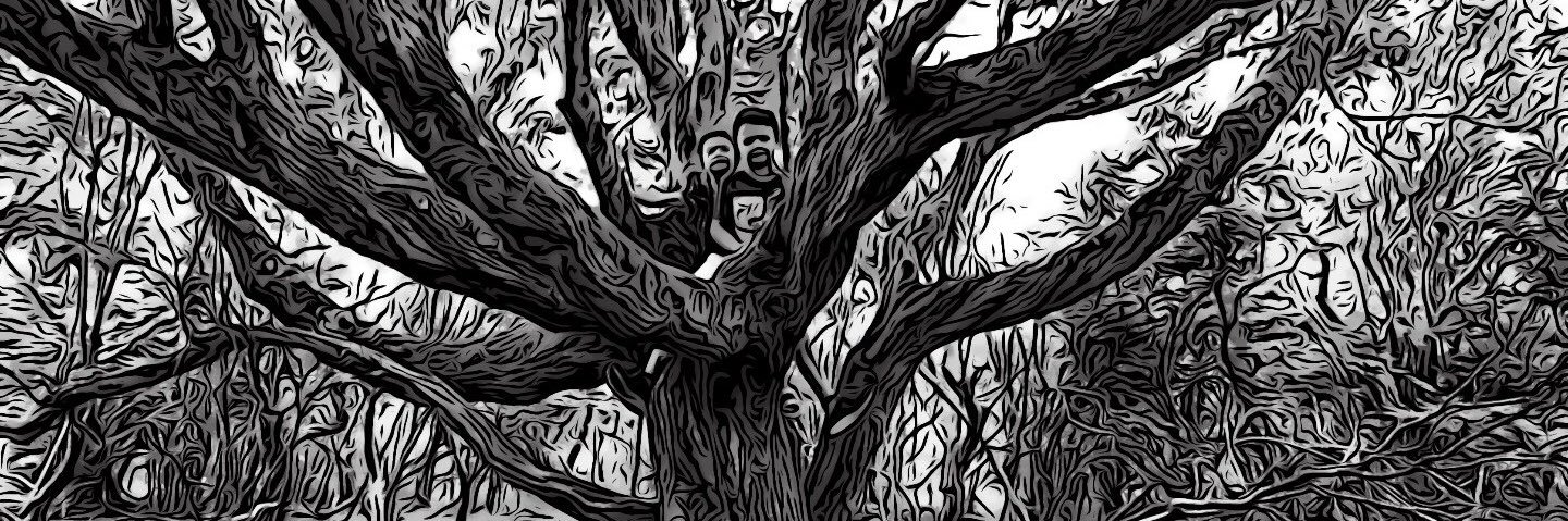 TimMangeruga's profile banner image