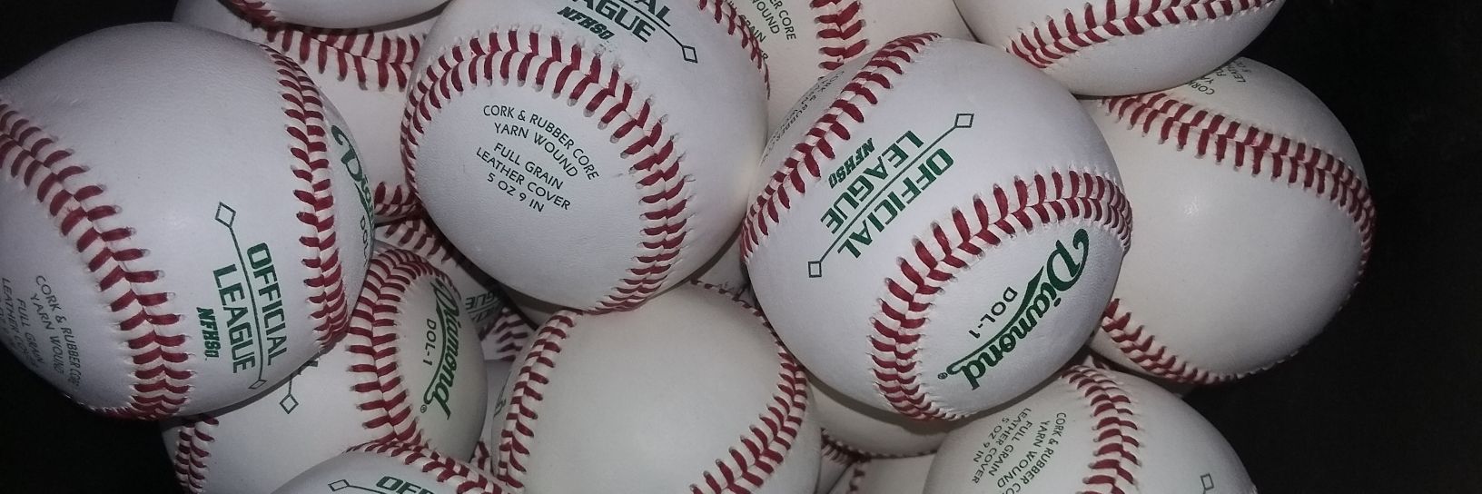 Mike Pangborn banner