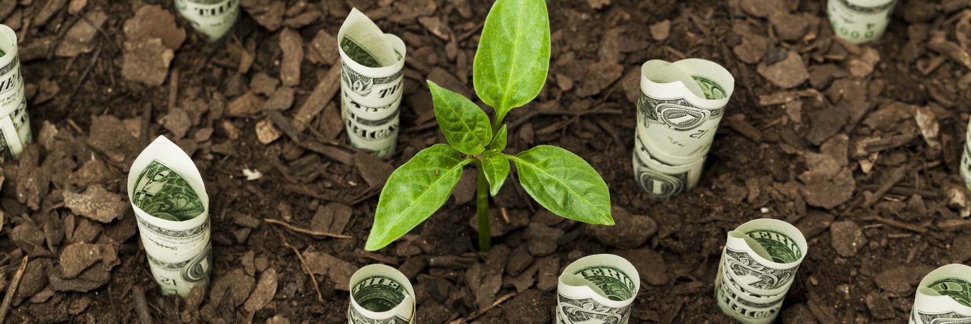 SlowFunding's profile banner image
