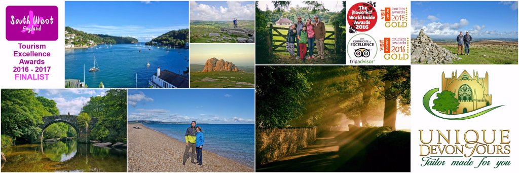 Unique Devon Tours banner