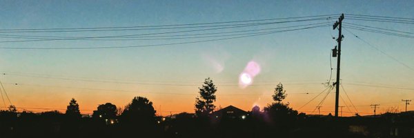 trevjimenez Profile Banner