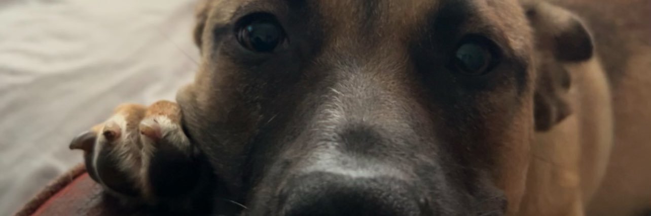 PastoreZack's profile banner image