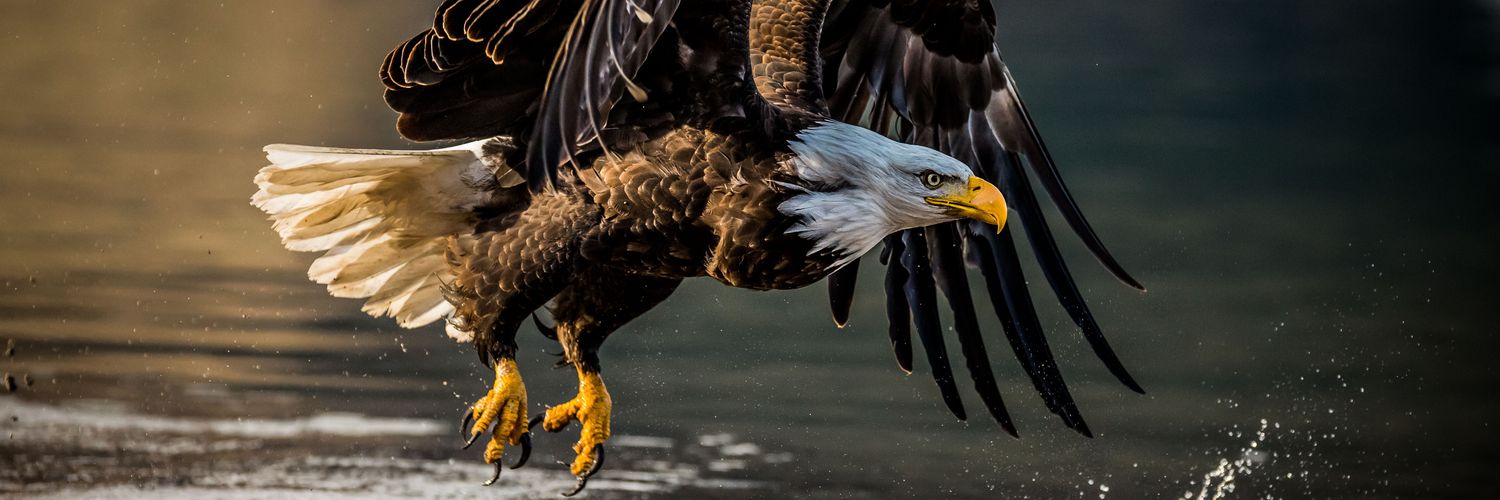 seanstdenis's profile banner image