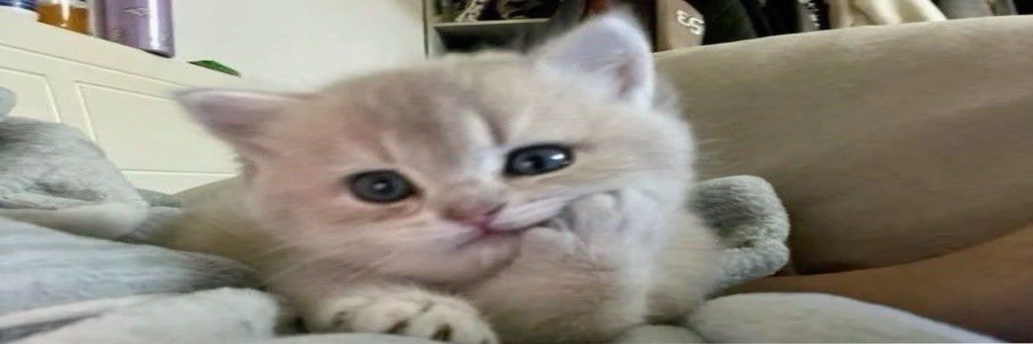 hazel_lumen's profile banner image