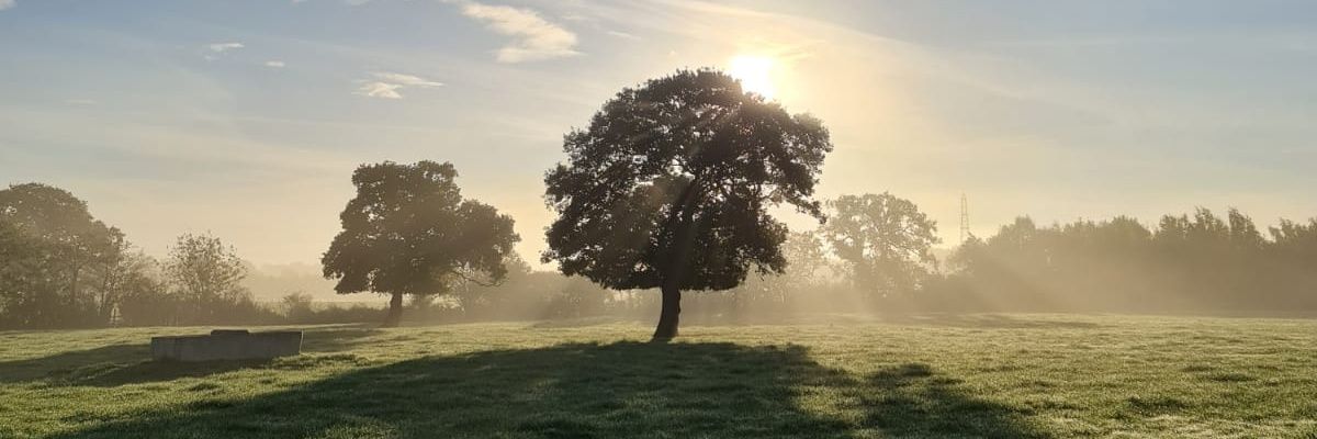chell_rosey's profile banner image