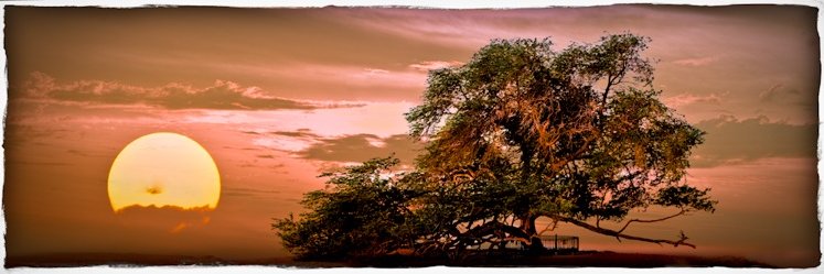 CJGreco's profile banner image