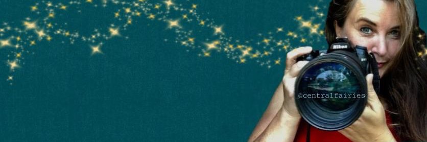 centralfairies's profile banner image