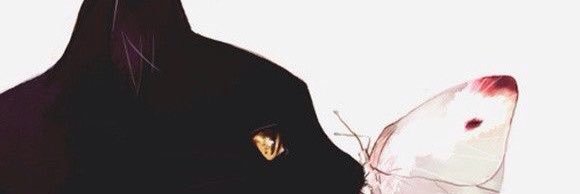 DianaDaav's profile banner image