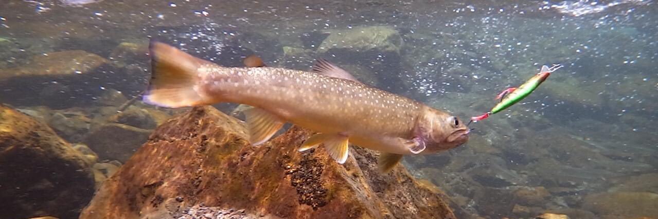 イェーガー banner