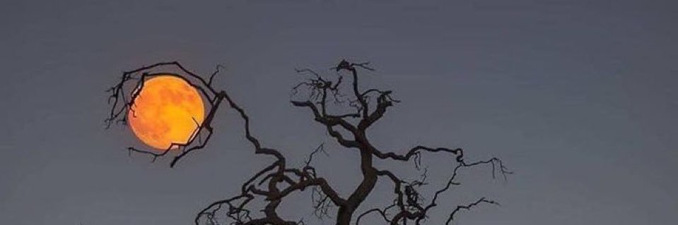 lousscigarette's profile banner image