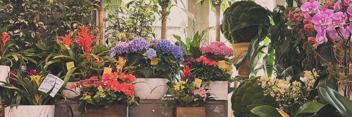 htxleahhhh's profile banner image