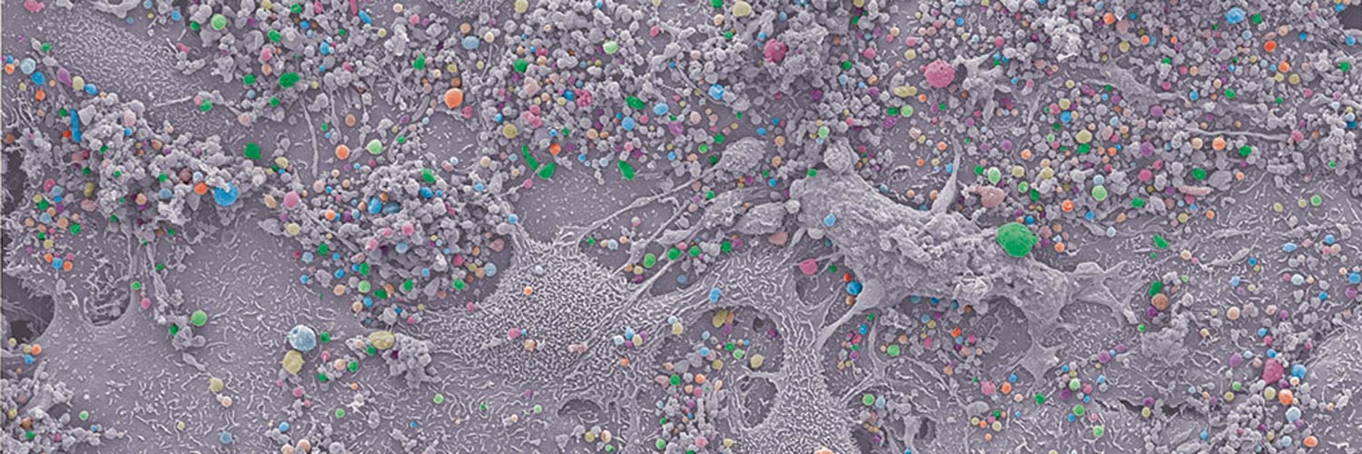 Science Advances banner