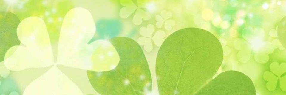 kann_van's profile banner image