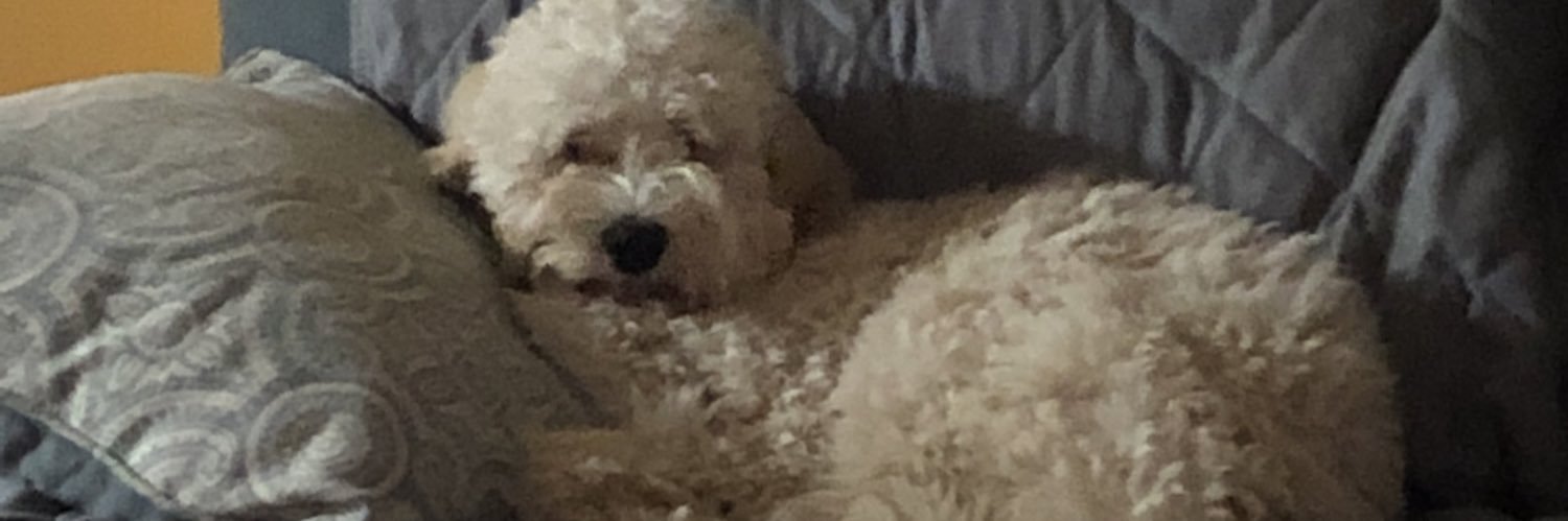 xarryl96's profile banner image
