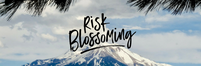 RiskBlossoming's profile banner image