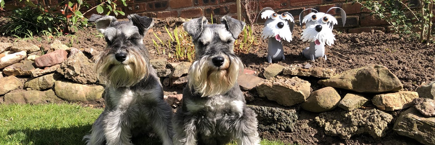 Joy Bramfitt-Wanless banner