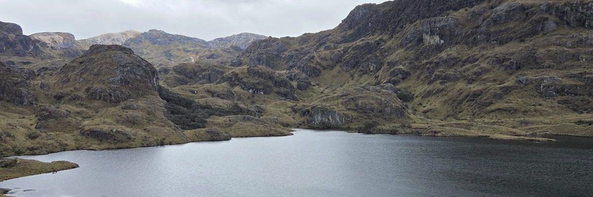 angeldeasis's profile banner image