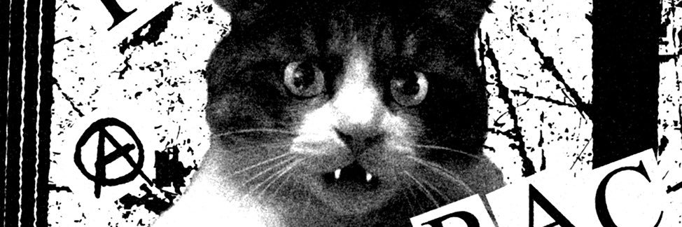 k_raw_savage's profile banner image
