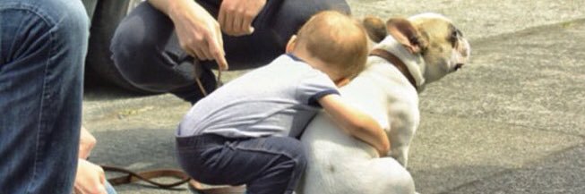 danthemann99's profile banner image