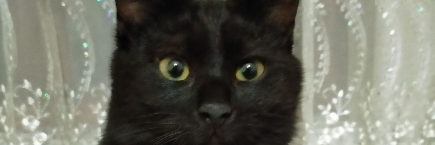 pskdnm's profile banner image