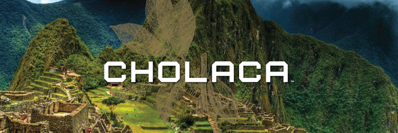 Cholaca's profile banner image