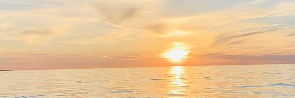 molly_lawrence2's profile banner image