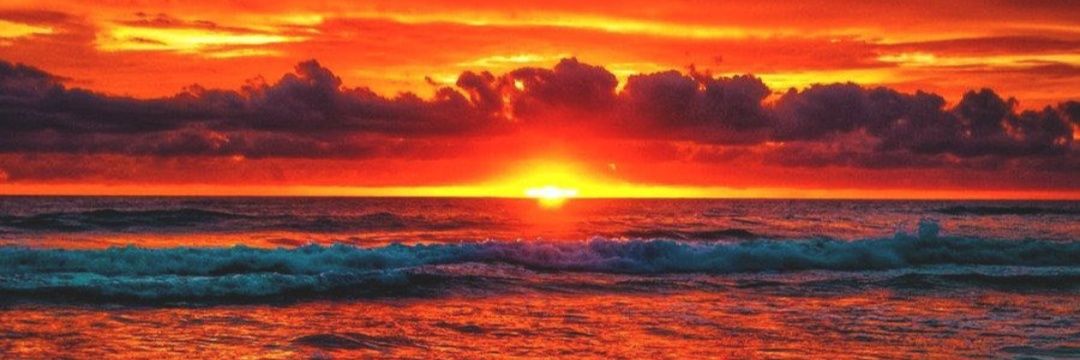 jov555's profile banner image
