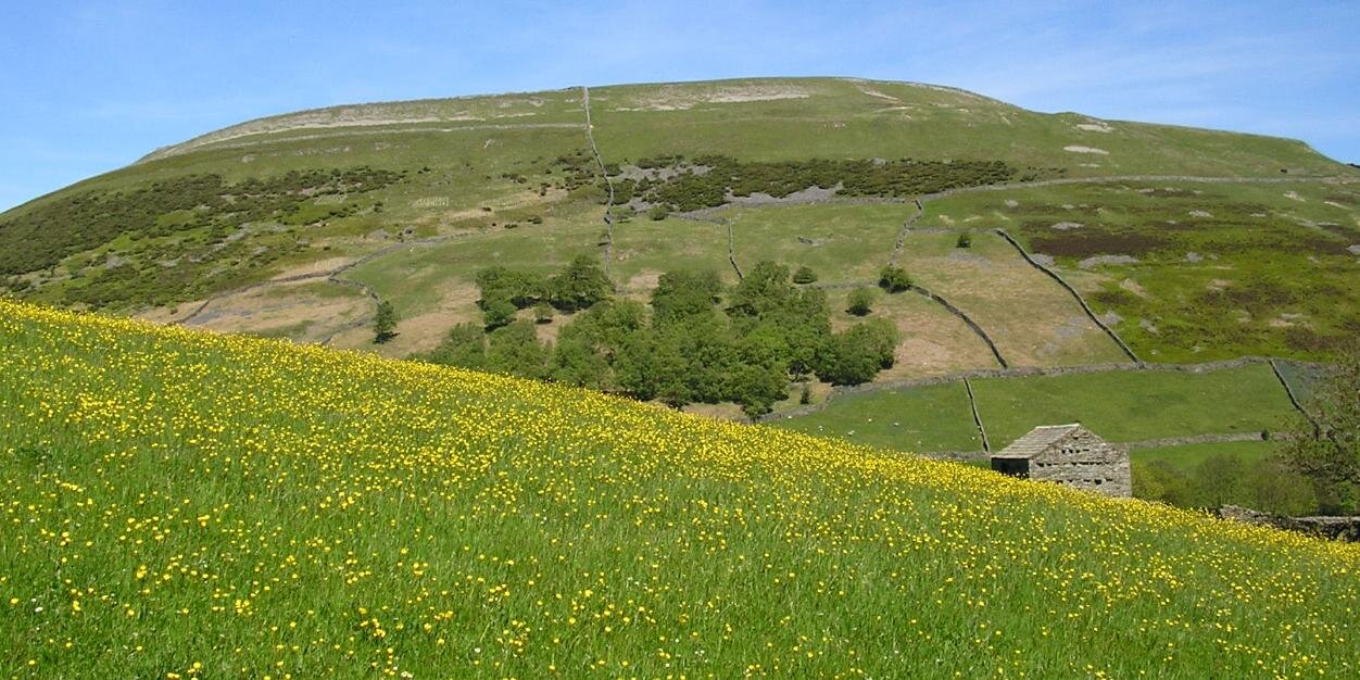 Valerie Hunter banner