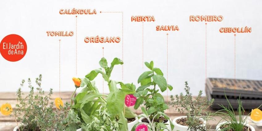 jardindeana's profile banner image