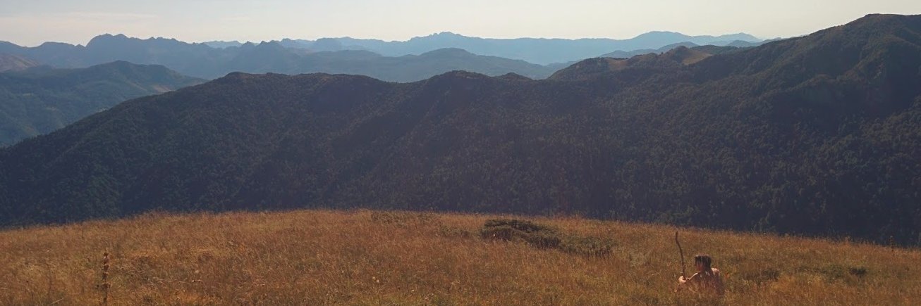 Segers_Sam's profile banner image