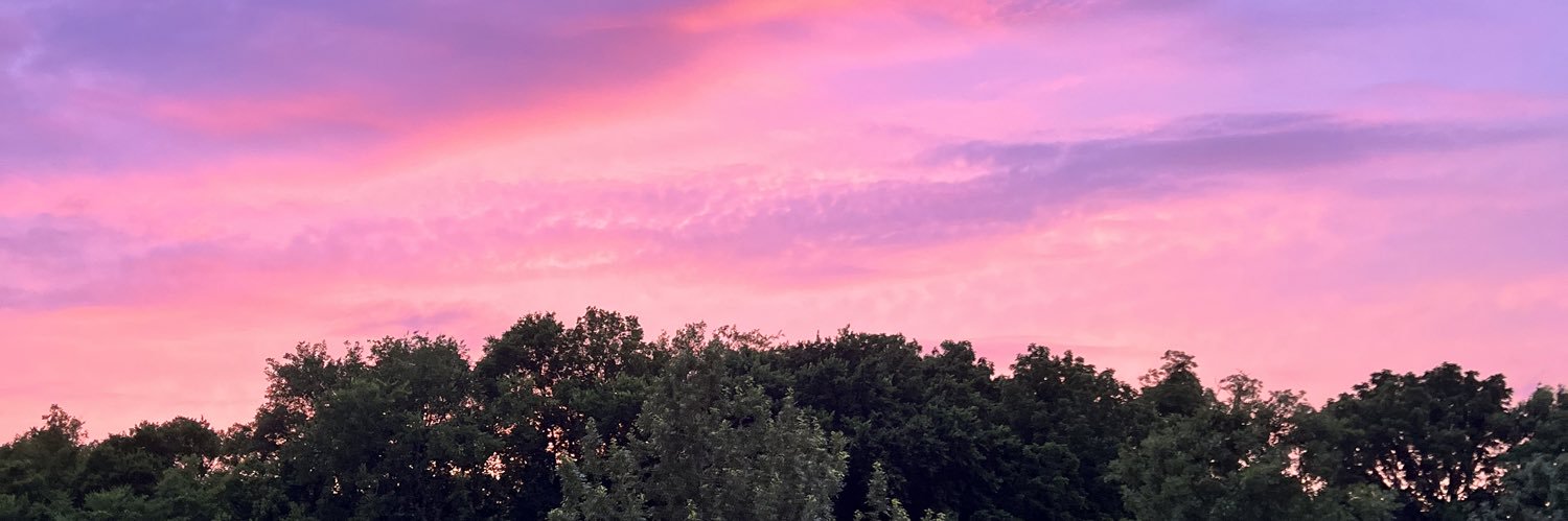 sydneysledge's profile banner image