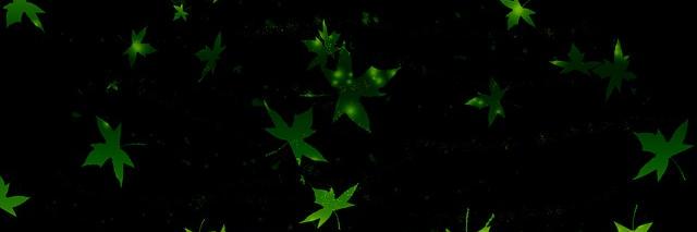araf_ar's profile banner image