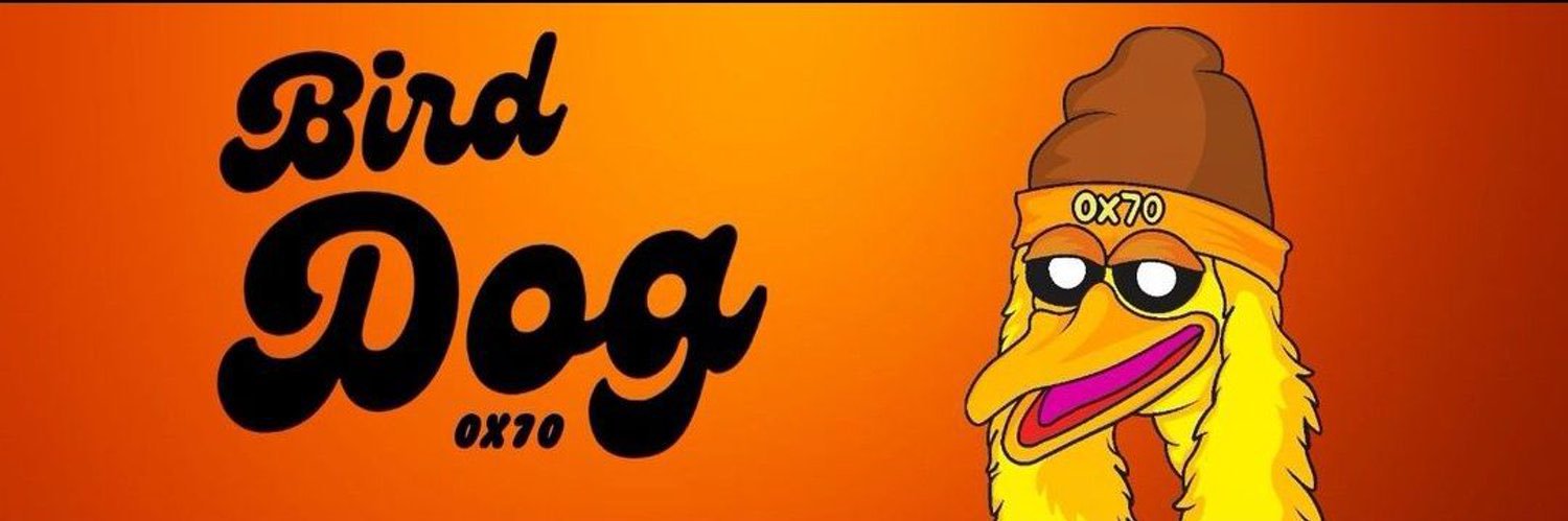 CryptoColins's profile banner image