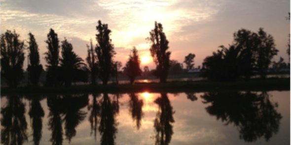 Corredor Cuemanco banner