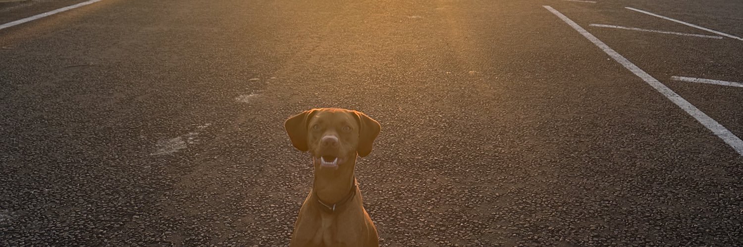 morganjhorne's profile banner image