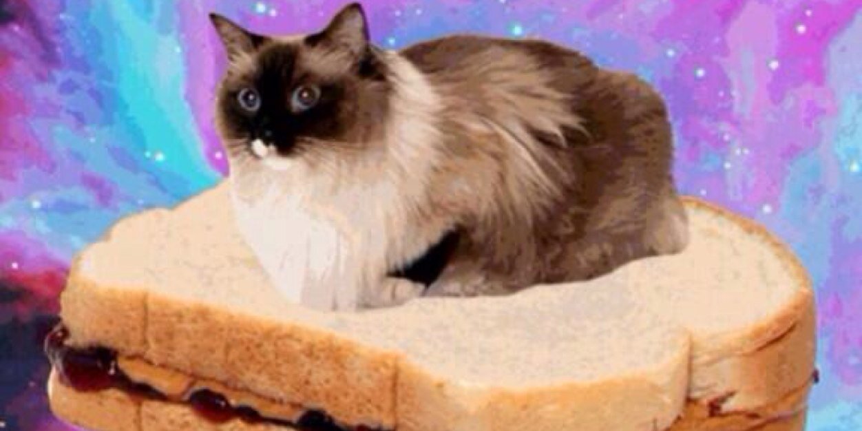 jack__hammer14's profile banner image