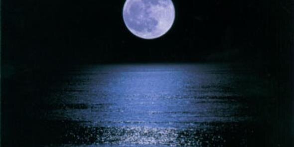 lina   marcela rios banner