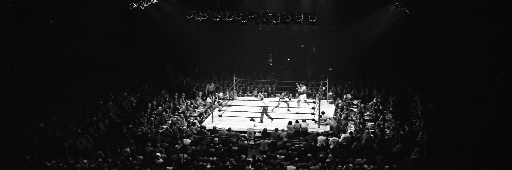 mrosenthal_box's profile banner image