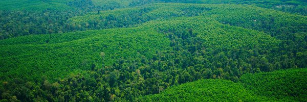 APRILpulp Profile Banner