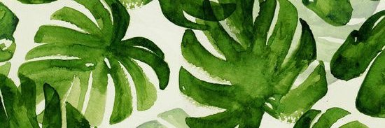 Sahian ibz 🦋 banner