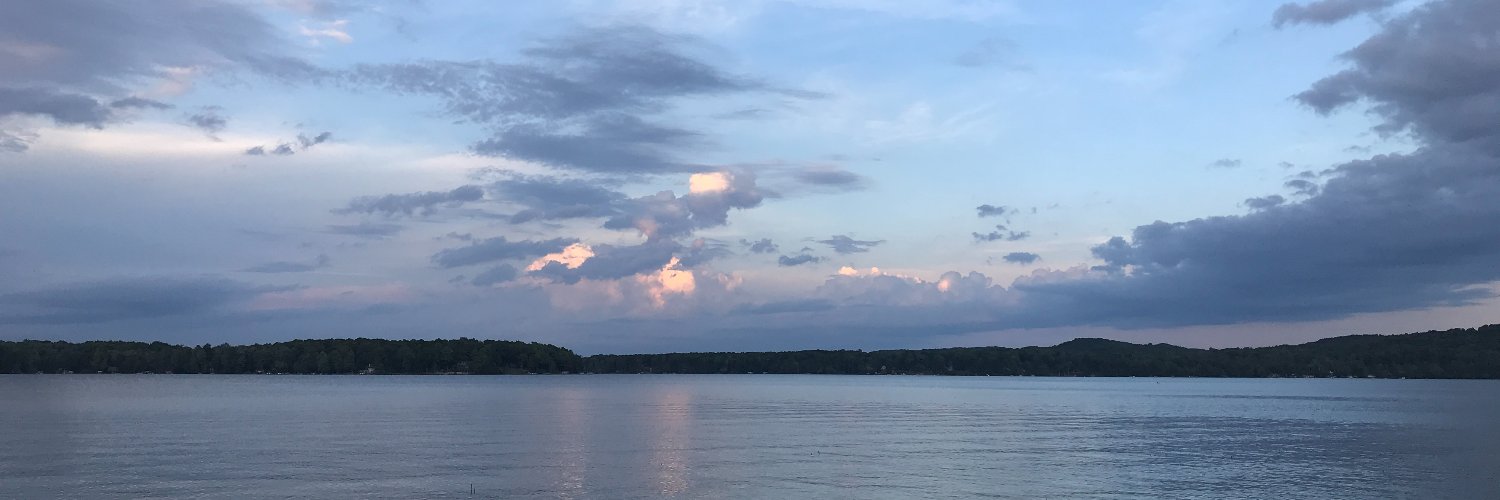 LCarolRitchie's profile banner image