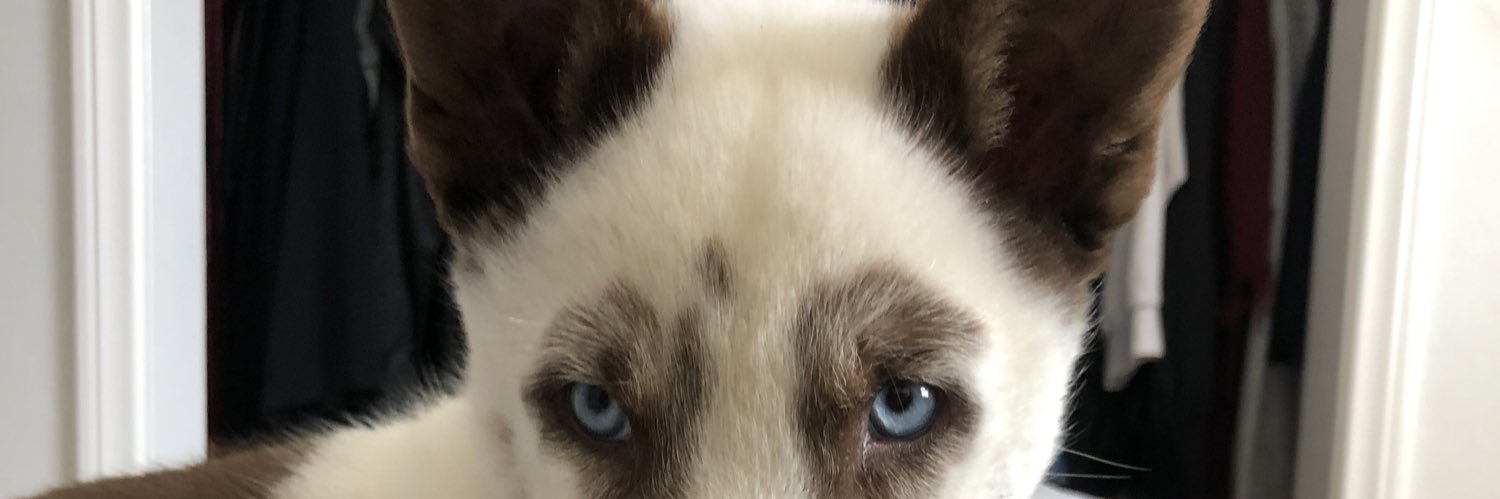 brookeebell's profile banner image