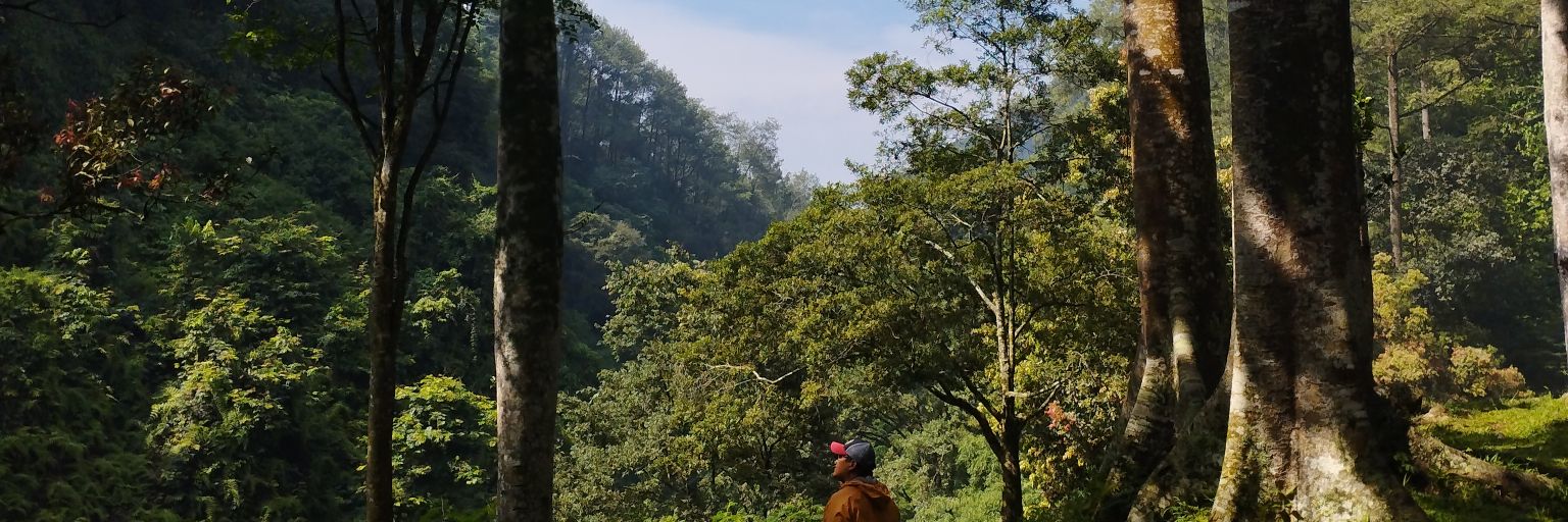 wargercamp's profile banner image