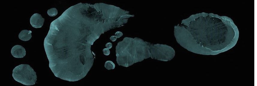 BradlyJones_'s profile banner image