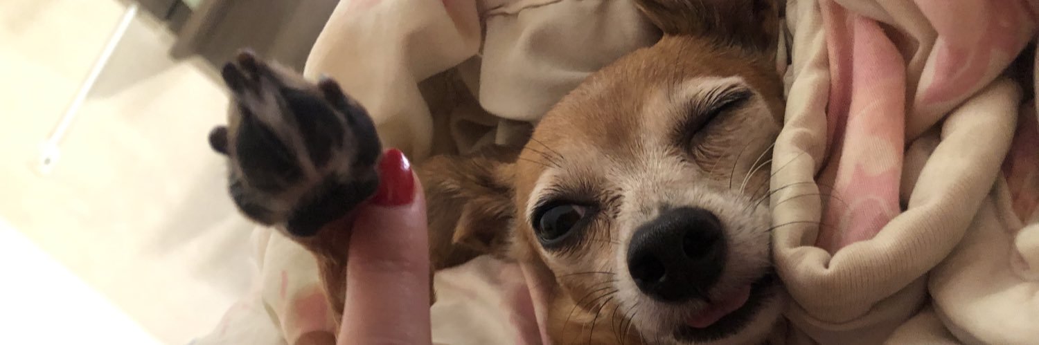 jessicalupepicc's profile banner image