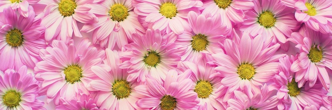 jamjeri's profile banner image